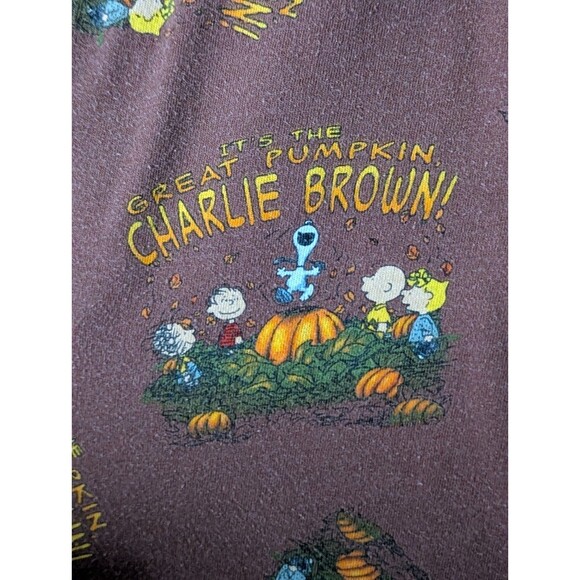 VTG Charlie Brown Great Pumpkin Pajama Pants Mens Large Brown Drawstring Pocket - Picture 6 of 7